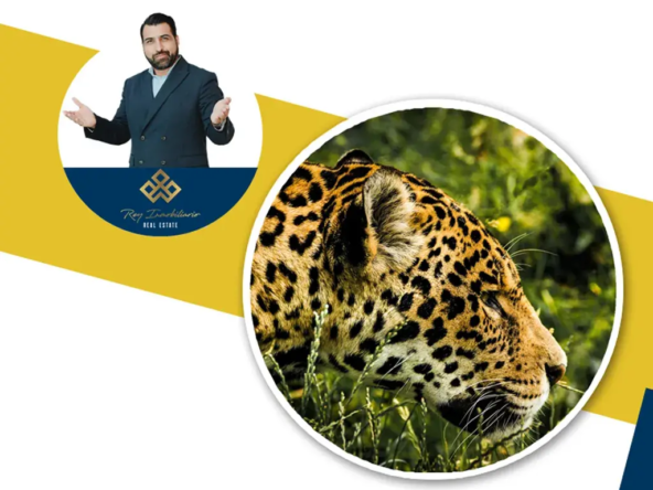 Parque del Jaguar Rey Inmobiliario