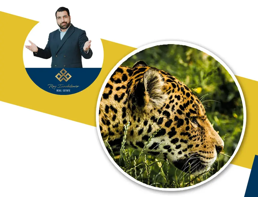 Parque del Jaguar Rey Inmobiliario